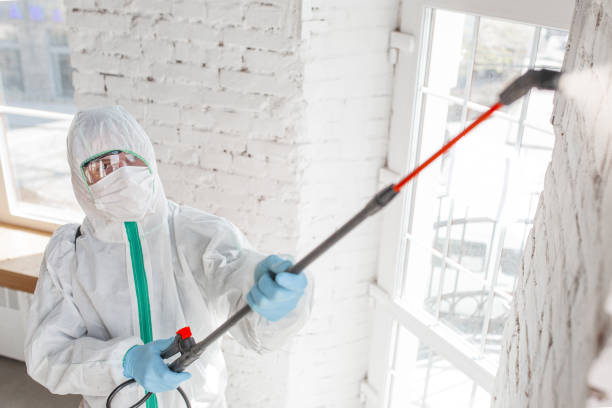 Best Mold Remediation for Rental Properties  in Toledo, OR