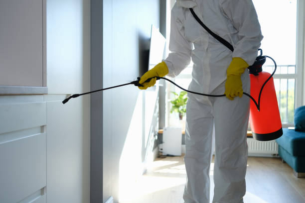 Best Post-Construction Mold Inspection  in Toledo, OR