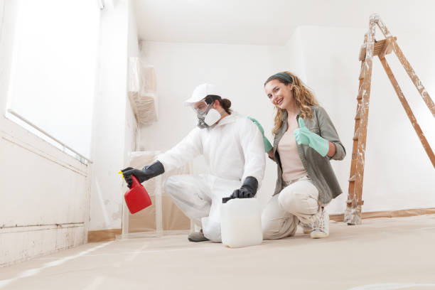 Mold Removal for HVAC Installations in Toledo, OR